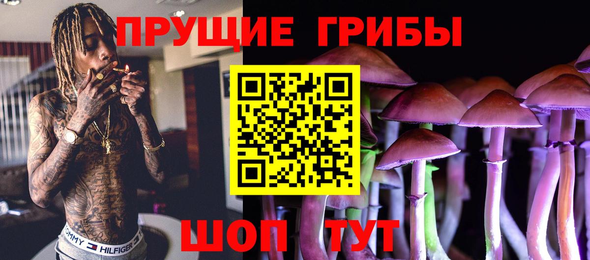 Галлюциногенные грибы MAGIC MUSHROOMS Партизанск