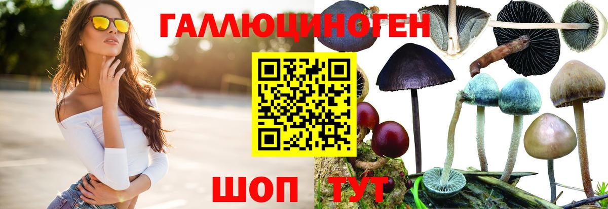 Партизанск  Псилоцибиновые грибы Magic Shrooms  Вход с VPN 